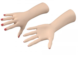 Gesto delle mani femminili 02 Maglia di base Modello 3D