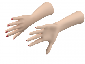 Female Hands Gesture 02 Base Mesh Model 3D