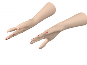 Female Hands Gesture 02 Base Mesh Model 3D
