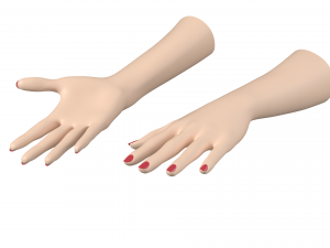 Female Hands Gesture 02 Base Mesh Model 3D