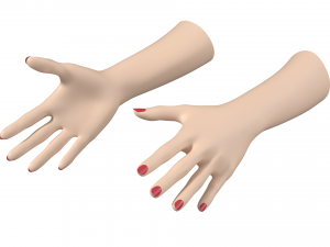 Female Hands Gesture 02 Base Mesh Model 3D