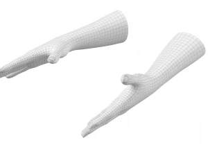 Gesto delle mani femminili 02 Maglia di base Modello 3D