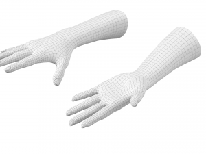 Female Hands Gesture 02 Base Mesh Model 3D