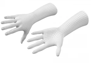 Gesto delle mani femminili 02 Maglia di base Modello 3D