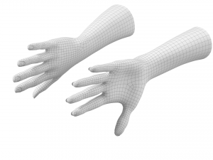 Female Hands Gesture 02 Base Mesh Model 3D