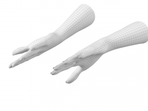 Female Hands Gesture 02 Base Mesh Model 3D