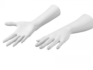 Gesto delle mani femminili 02 Maglia di base Modello 3D