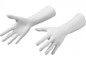 Gesto delle mani femminili 02 Maglia di base Modello 3D