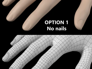 Gesto delle mani femminili 02 Maglia di base Modello 3D