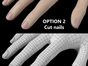 Gesto delle mani femminili 02 Maglia di base Modello 3D