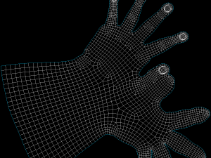 Female Hands Gesture 02 Base Mesh Model 3D