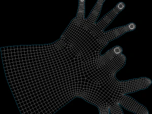 Gesto delle mani femminili 02 Maglia di base Modello 3D