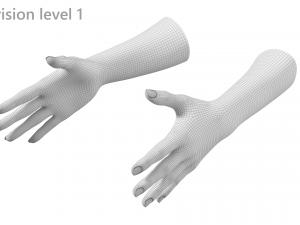 Female Hands Gesture 02 Base Mesh Model 3D