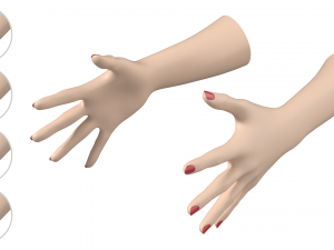 Female Hands Gesture 03 Base Mesh 3D Model