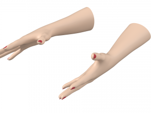 Female Hands Gesture 03 Base Mesh 3D Model