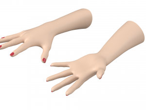Female Hands Gesture 03 Base Mesh 3D Model