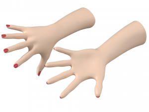Female Hands Gesture 03 Base Mesh 3D Model
