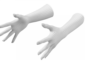 Female Hands Gesture 03 Base Mesh 3D Model