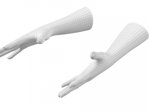 Female Hands Gesture 03 Base Mesh 3D Model