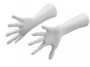 Female Hands Gesture 03 Base Mesh 3D Model
