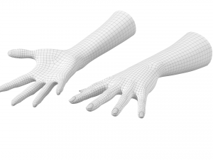 Female Hands Gesture 03 Base Mesh 3D Model