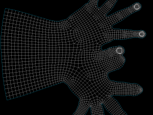 Female Hands Gesture 03 Base Mesh 3D Model