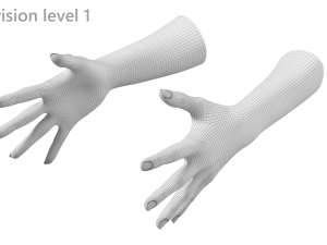 Female Hands Gesture 03 Base Mesh 3D Model