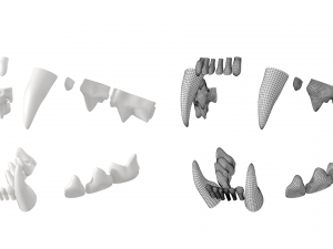 Cat Skull 3Dモデル