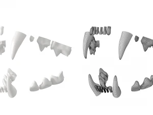 Cr&acirc;nio de gato Modelo 3D