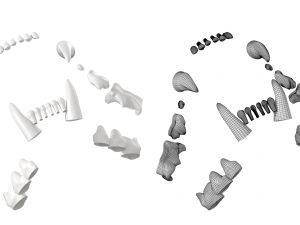 Cat Skull 3Dモデル