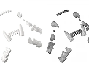 Cr&acirc;nio de gato Modelo 3D