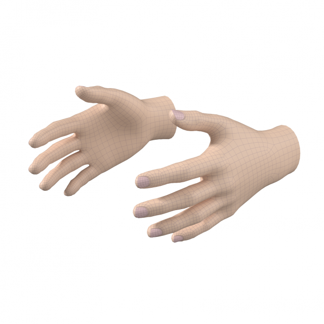 Female Hand Base Mesh 01 3D Model .c4d .max .obj .3ds .fbx .stl .blend 