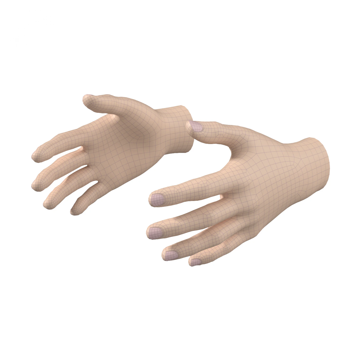 Female Hand Base Mesh 01 3D Model .c4d .max .obj .3ds .fbx .stl .blend 