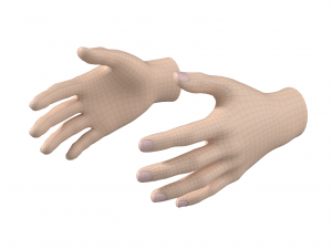 Female Hand Base Mesh 01 3D Модель