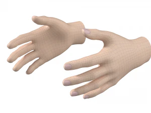 Female Hand Base Mesh 01 3D Model