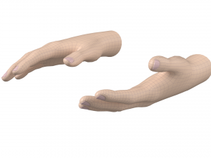 Female Hand Base Mesh 01 3D Model