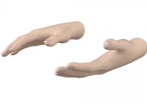 Female Hand Base Mesh 01 3D Model