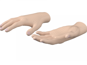 Female Hand Base Mesh 01 3D Model