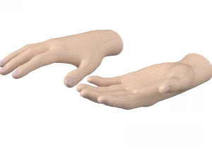 Female Hand Base Mesh 01 3D Model