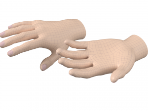 Female Hand Base Mesh 01 3D Model