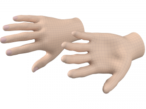 Female Hand Base Mesh 01 3D Model