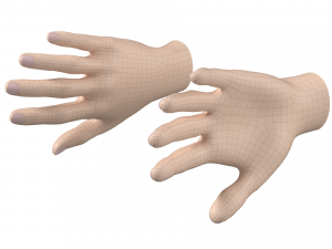 Female Hand Base Mesh 01 3D Model