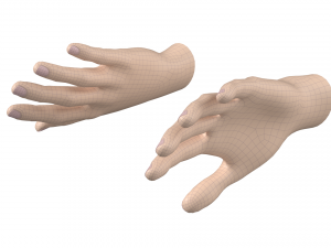 Female Hand Base Mesh 01 3D Model