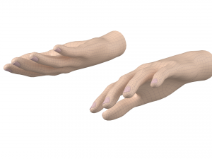 Female Hand Base Mesh 01 3D Model