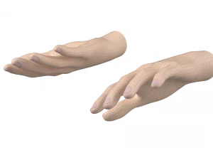 Female Hand Base Mesh 01 3D Model
