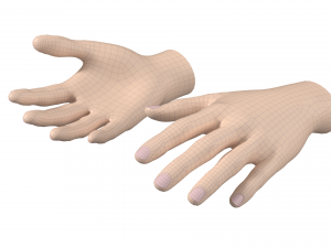 Female Hand Base Mesh 01 3D Model