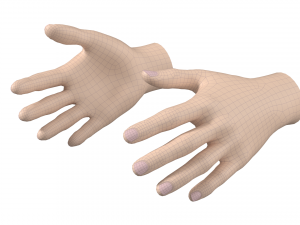 Female Hand Base Mesh 01 3D Model