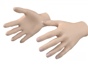 Female Hand Base Mesh 01 3D Model