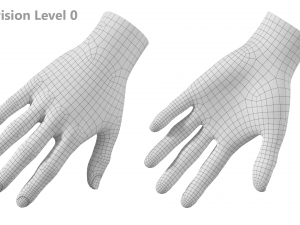 Female Hand Base Mesh 01 3D Model