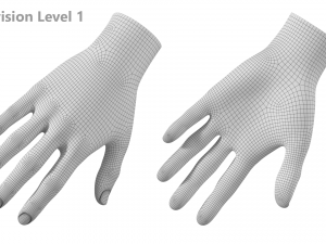 Female Hand Base Mesh 01 3D Model